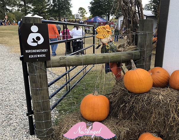 NuAngel Products at the Pumpkin Patch
