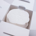 Load image into Gallery viewer, Biodegradable Disposable Nursing Pads shown in open box
